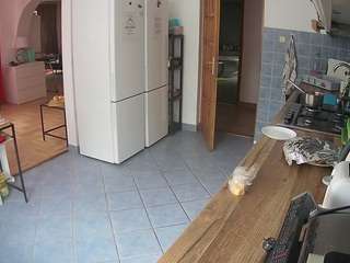 voyeurcam-julmodels-kitchen