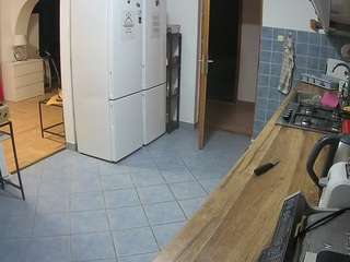 voyeurcam-julmodels-kitchen