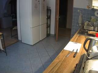 voyeurcam-julmodels-kitchen