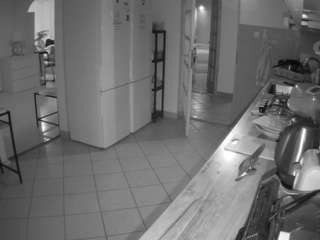 voyeurcam-julmodels-kitchen