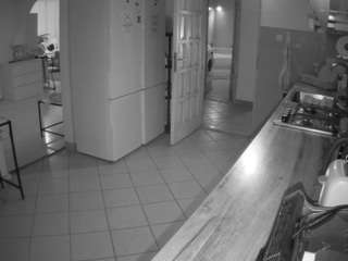 voyeurcam-julmodels-kitchen