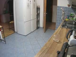 voyeurcam-julmodels-kitchen
