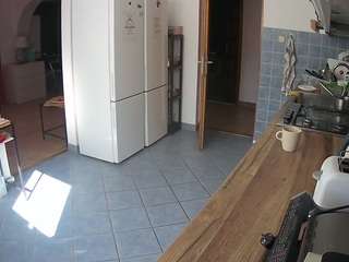 voyeurcam-julmodels-kitchen