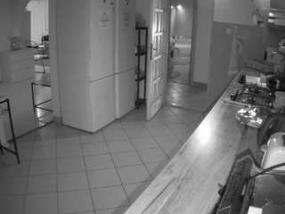 Julmodels Kitchen live cam preview
