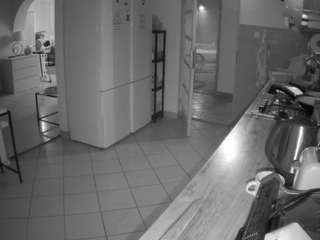 voyeurcam-julmodels-kitchen's live room