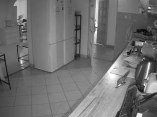 voyeurcam-julmodels-kitchen