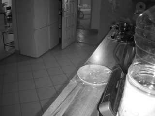 voyeurcam-julmodels-kitchen