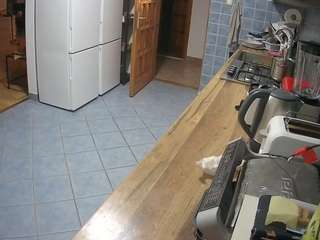 voyeurcam-julmodels-kitchen