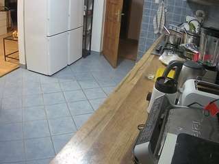 Julmodels Kitchen live cam preview