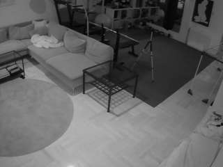 voyeurcam-julmodels-living-2's preview