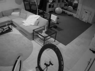 voyeurcam-julmodels-living-2's Info Image