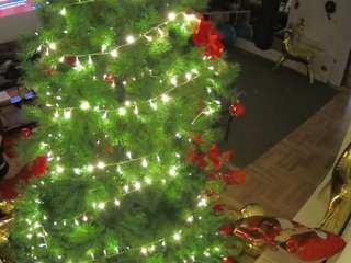 voyeurcam-julmodels-living-2