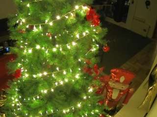 voyeurcam-julmodels-living-2's CamSoda show and profile