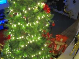 voyeurcam-julmodels-living-2's CamSoda show and profile