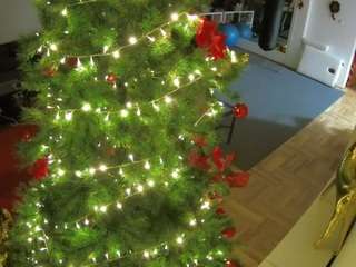 voyeurcam-julmod... Live Webcam on CamSoda