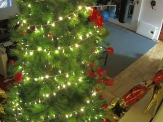 voyeurcam-julmodels-living-2's CamSoda show and profile