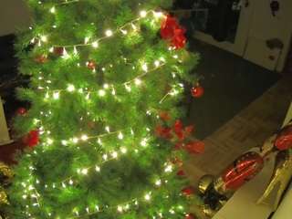 voyeurcam-julmod... Live Webcam on CamSoda