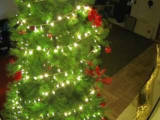 voyeurcam-julmod... Live Webcam on CamSoda