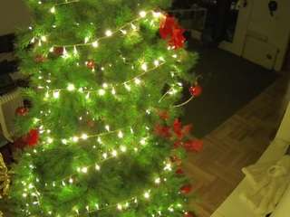 voyeurcam-julmod... Live Webcam on CamSoda