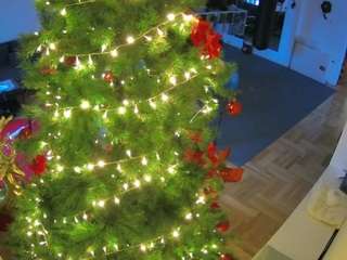 voyeurcam-julmodels-living-2's CamSoda show and profile