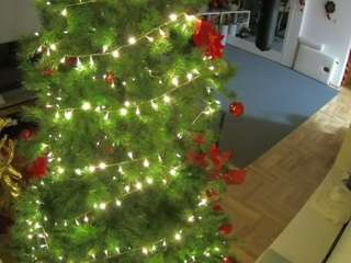 voyeurcam-julmodels-living-2