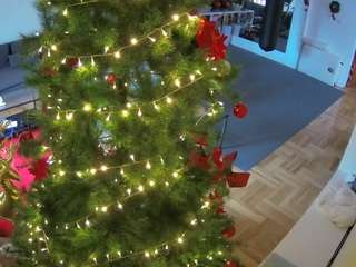 voyeurcam-julmodels-living-2