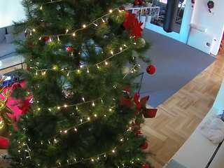 voyeurcam-julmodels-living-2