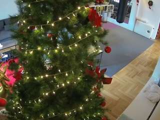 voyeurcam-julmodels-living-2