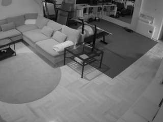 voyeurcam-julmodels-living-2