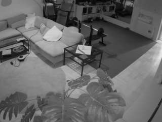 voyeurcam-julmodels-living-2