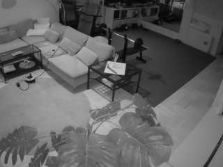 voyeurcam-julmodels-living-2