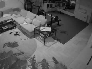 voyeurcam-julmodels-living-2