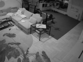 voyeurcam-julmodels-living-2 webcam