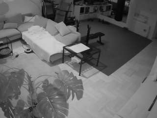 voyeurcam-julmodels-living-2