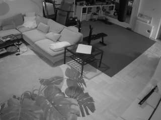 voyeurcam-julmodels-living-2 live cam profile