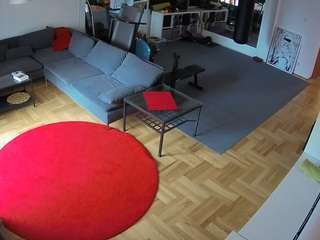 voyeurcam-julmodels-living-2's CamSoda show and profile