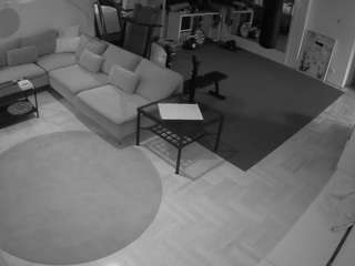 voyeurcam-julmodels-living-2 webcam