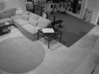 voyeurcam-julmodels-living-2's CamSoda show and profile