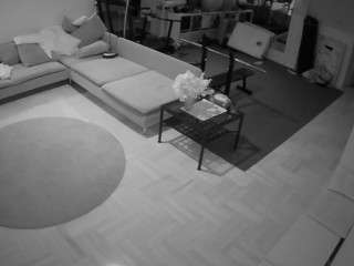 voyeurcam-julmodels-living-2