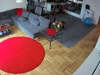 voyeurcam-julmodels-living-2 webcam