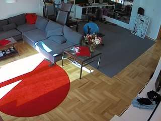 Live stream of voyeurcam-julmodels-living-2