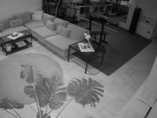 voyeurcam-julmodels-living-2