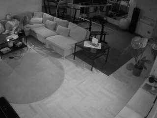 voyeurcam-julmodels-living-2