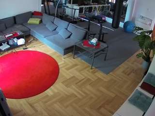 voyeurcam-julmodels-living-2