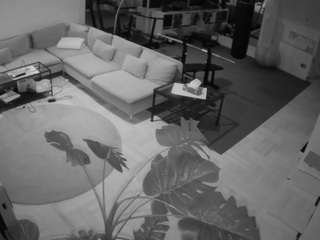 voyeurcam-julmodels-living-2