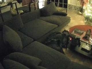 voyeurcam-julmod... Live Webcam on CamSoda