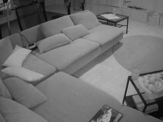 voyeurcam-julmodels-living-3 webcam