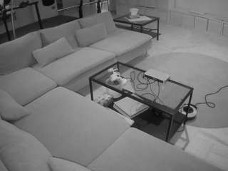 voyeurcam-julmodels-living-3 webcam