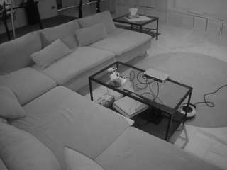voyeurcam-julmodels-living-3