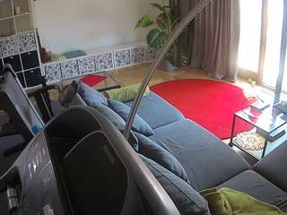 voyeurcam-julmod... Live Webcam on CamSoda